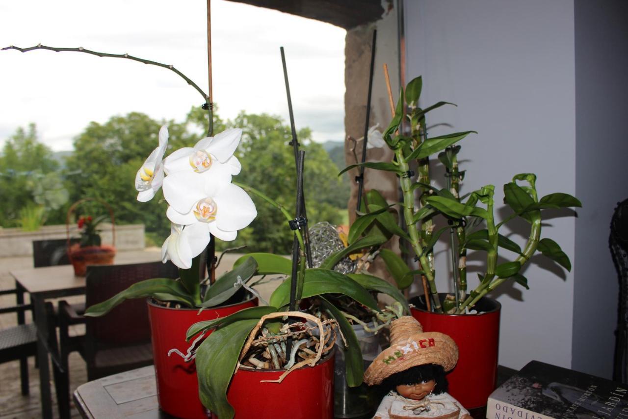 Posada El Campo Secadura ภายนอก รูปภาพ