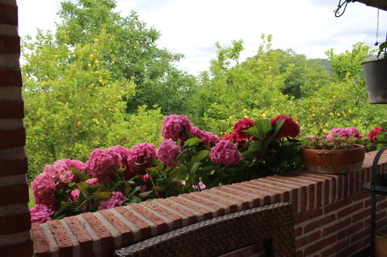 Posada El Campo Secadura ภายนอก รูปภาพ