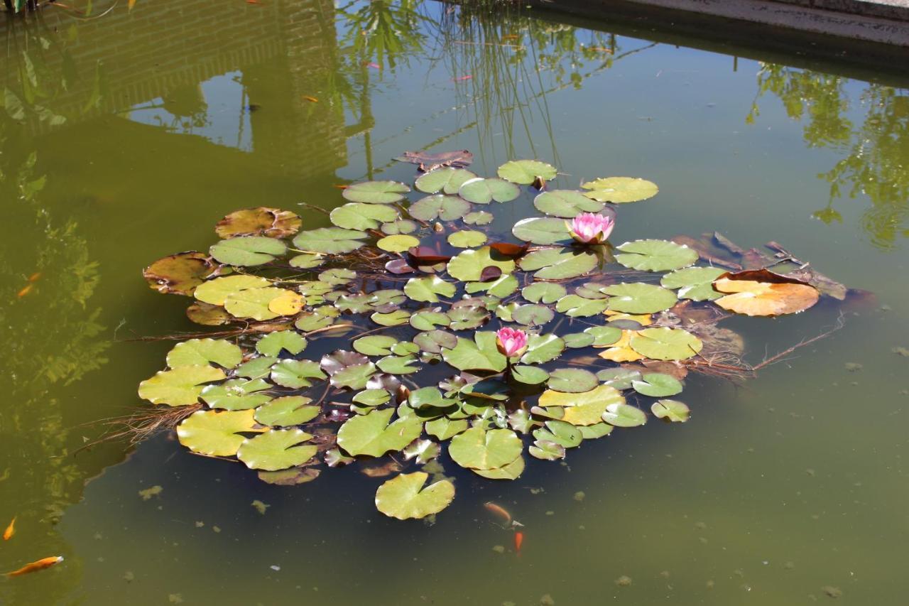 Posada El Campo Secadura ภายนอก รูปภาพ